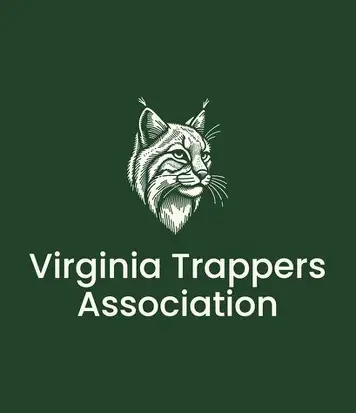 VTA Logo