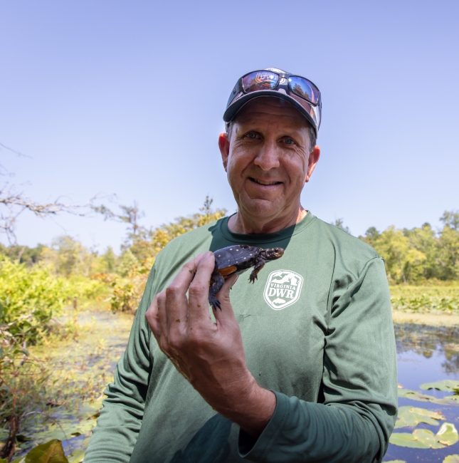 Turtles Safely Released into the Wild