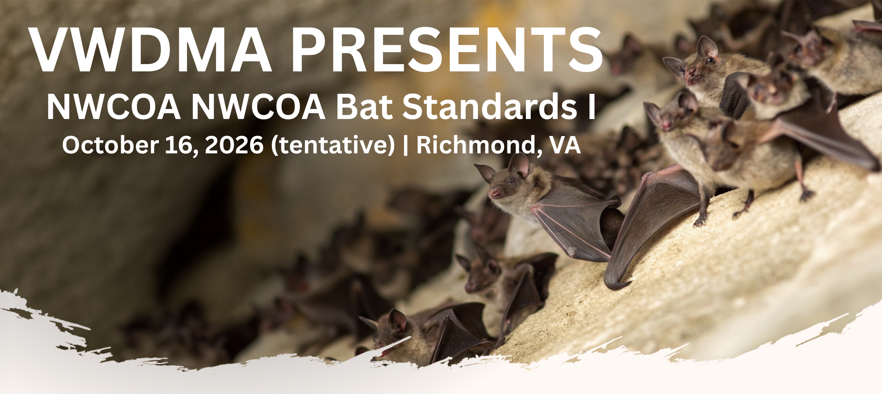 Bat Standards 1 2026